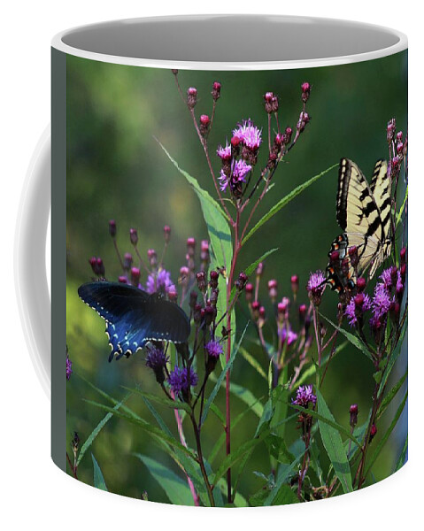 Butterfly Coffee Mug featuring the photograph Two Butterflies by Carol Montoya