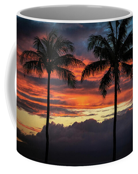 Hawaii Coffee Mug featuring the photograph Two Coconuts by G Lamar Yancy