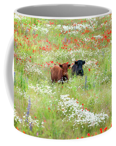 Cows Coffee Mug featuring the photograph Two Norfolk cows in wild flower meadow by Simon Bratt