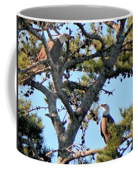 Birds Coffee Mug featuring the photograph Two Eagles by Karen Stansberry