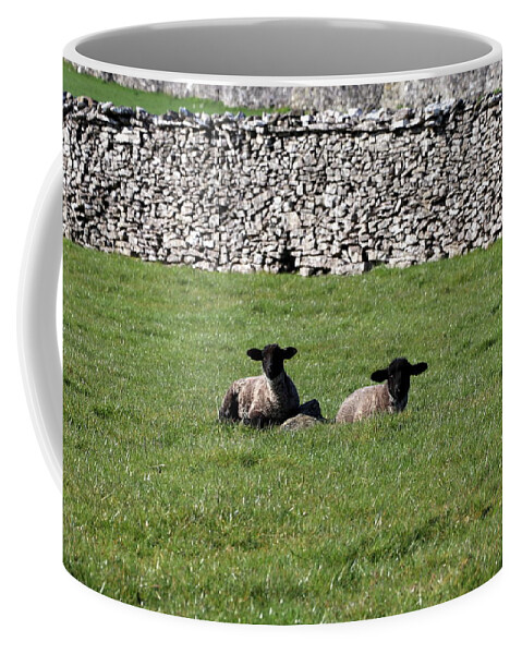Lamb Coffee Mug featuring the photograph Two little lambs by Lukasz Ryszka