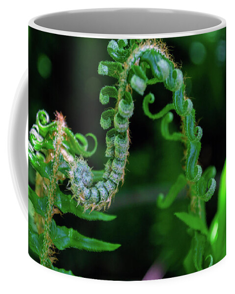 Plant Coffee Mug featuring the photograph Uncurling Frond by Tikvah's Hope