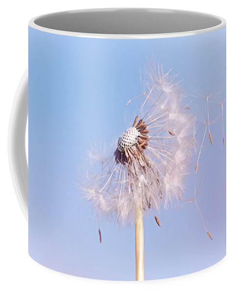 Dandelion Coffee Mug featuring the photograph Under The Blue Sky by Jaroslav Buna