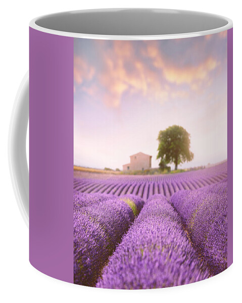 Lavender Field Coffee Mug featuring the photograph Valensole Plateau 2 by Giovanni Allievi