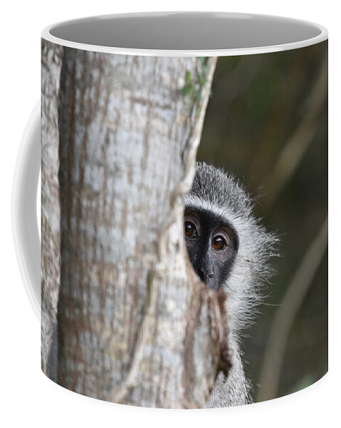 Vervet Coffee Mug featuring the photograph Vervet Monkey, South Africa by Ben Foster