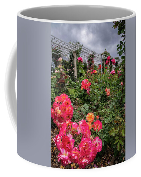 Coffee Mug featuring the photograph Vibrant Roses Under Stormy Skies at the Garden by Lynn Bauer