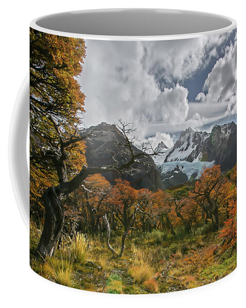 Patagonia Coffee Mug featuring the photograph Vichuquen by Ryan Weddle