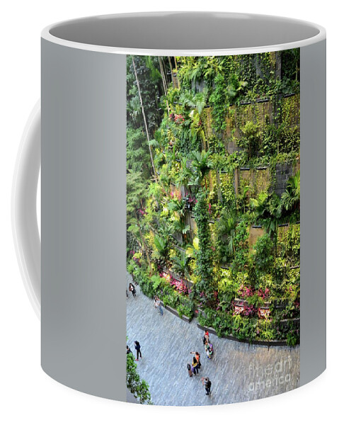 https://render.fineartamerica.com/images/rendered/default/frontright/mug/images/artworkimages/medium/2/visitors-at-entrance-to-jewel-attraction-with-green-hanging-gardens-at-singapore-changi-airport-imran-ahmed.jpg?&targetx=290&targety=0&imagewidth=220&imageheight=333&modelwidth=800&modelheight=333&backgroundcolor=9CA1A3&orientation=0&producttype=coffeemug-11