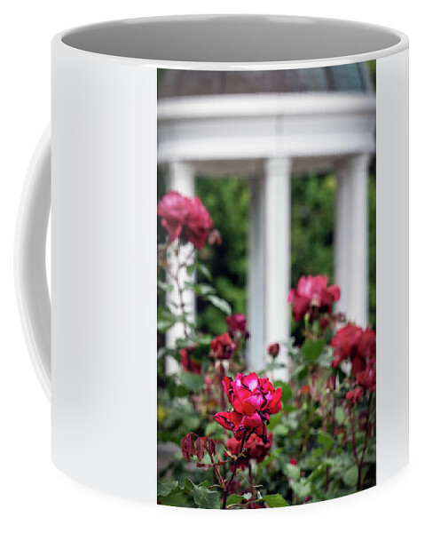 Asia Coffee Mug featuring the photograph VP Garden 2 by Bill Chizek