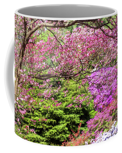 Jenny Rainbow Fine Art Photography Coffee Mug featuring the photograph Walk in Spring Eden. Pink Branch by Jenny Rainbow