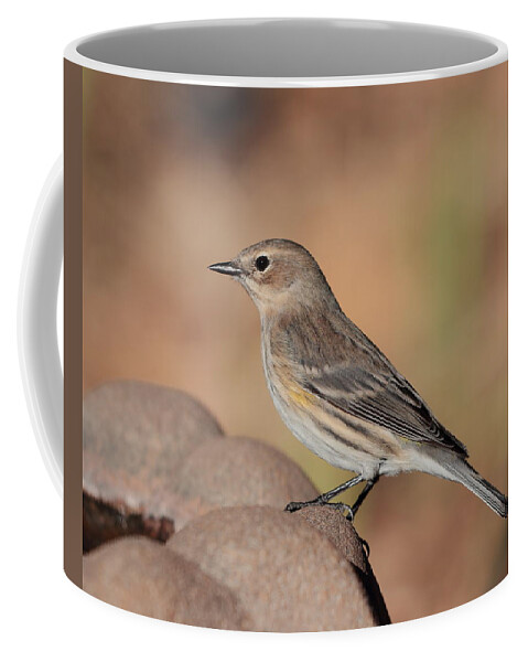 Bird Coffee Mug featuring the photograph Warbler 4231 by John Moyer