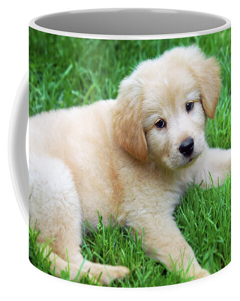 Golden Retriever Coffee Mug featuring the photograph Cuddly Puppy by Christina Rollo