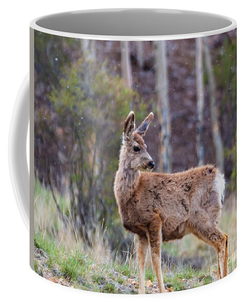 Deer Coffee Mug featuring the photograph Wary Deer Herd on a Snowy Morning by Steven Krull