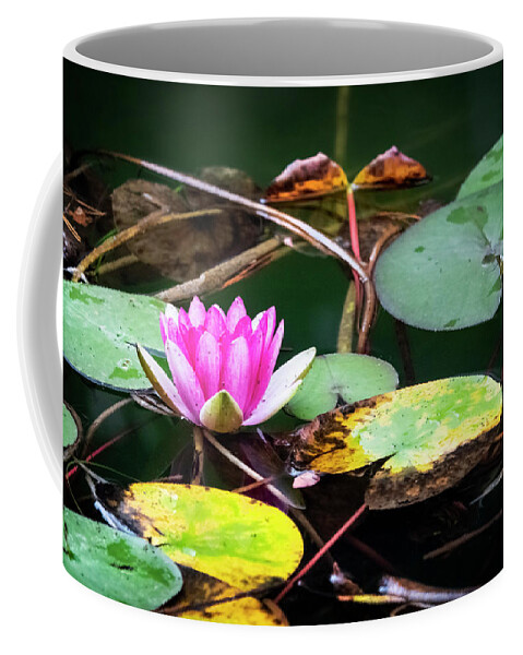 Water Lily Coffee Mug featuring the photograph Water Lily #2 by Kathryn McBride