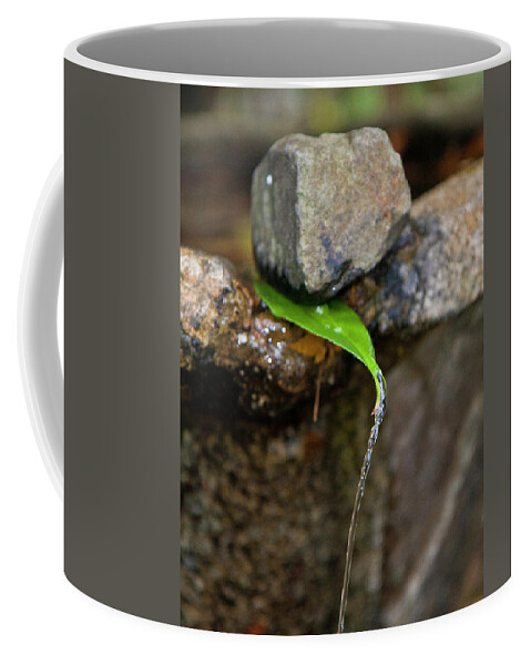 Fountain Coffee Mug featuring the photograph Water, Rock, Leaf by Gary Hughes