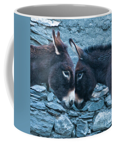 Burro Coffee Mug featuring the photograph Eye To Eye, Nose To Nose, Heart To Heart by Leslie Struxness