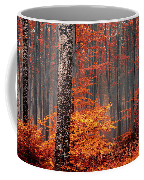 Mist Coffee Mug featuring the photograph Welcome To Orange Forest by Evgeni Dinev