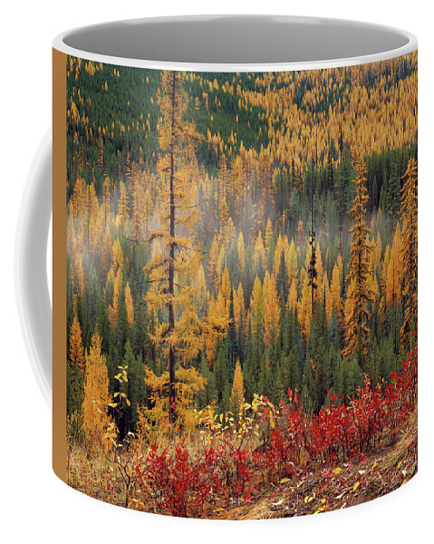 Washington Coffee Mug featuring the photograph Western Larch Forest Autumn by Leland D Howard