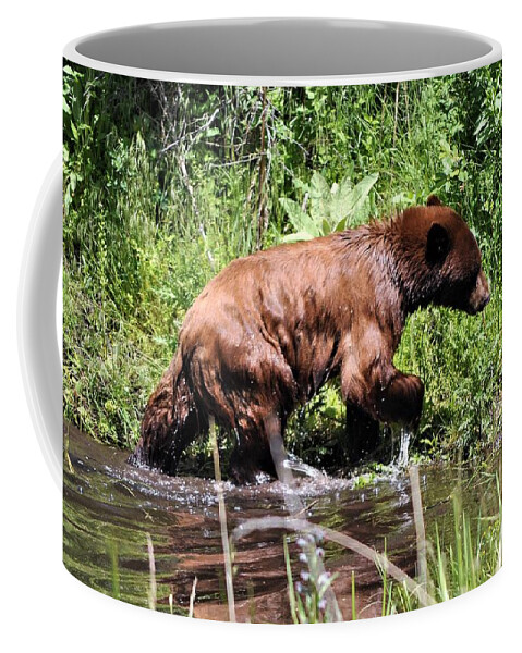 Bear Coffee Mug featuring the photograph Wet Bear by Mike Helland