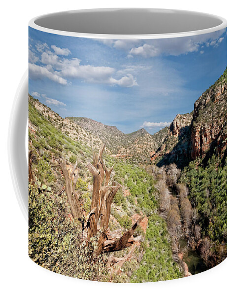 Arid Climate Coffee Mug featuring the photograph Wet Beaver Creek Canyon by Jeff Goulden