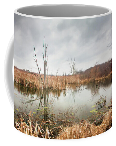 Wetlands Coffee Mug featuring the photograph Wetlands on a Dreary Day by Tom Mc Nemar