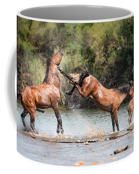 Horses Coffee Mug featuring the photograph What A Kick by Lisa Manifold