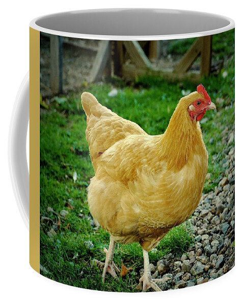 Chicken Coffee Mug featuring the photograph What's The Rush, Ginger? by Alida M Haslett
