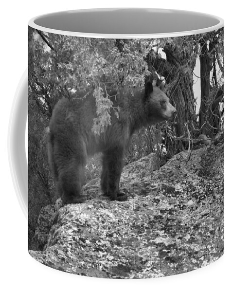 Black Bear Coffee Mug featuring the photograph Where THe Cliffs Meet The Forest Black And White by Adam Jewell