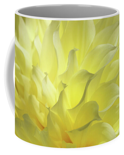 Dahlia Coffee Mug featuring the photograph Whisper by Iryna Goodall