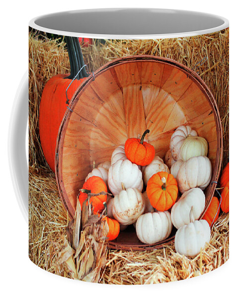White Coffee Mug featuring the photograph White And Orange Mini Pumpkins by Cynthia Guinn