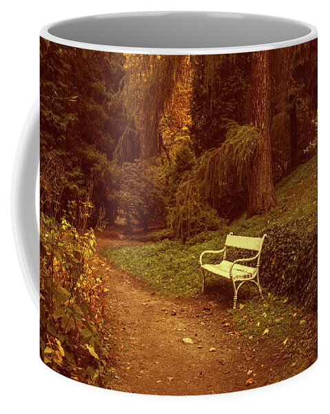 Jenny Rainbow Fine Art Photography Coffee Mug featuring the photograph White Bench in Secret Garden 1 by Jenny Rainbow