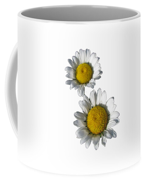 White Daisies Coffee Mug featuring the photograph White Daisies Flower Best for Shirts by Delynn Addams