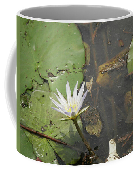 White Lotus Coffee Mug featuring the photograph White lotus by Atul Kolte