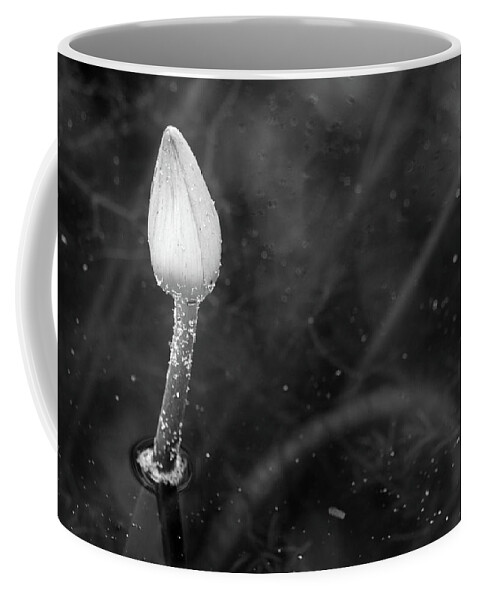 Lotus Coffee Mug featuring the photograph White Lotus Bud by Mary Anne Delgado