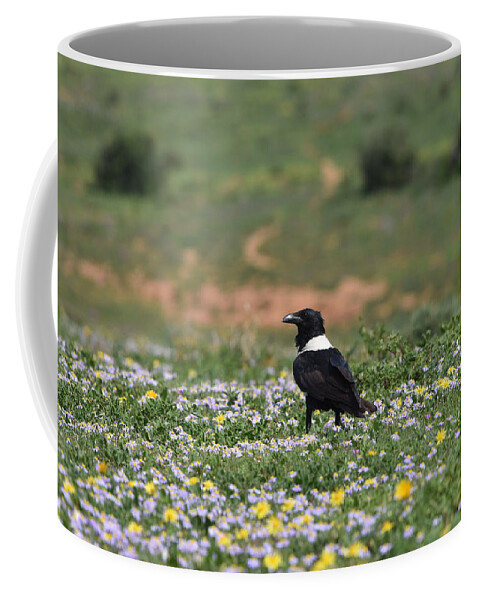 Raven Coffee Mug featuring the photograph White Necked Raven by Ben Foster