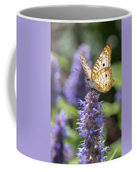 White Peacock Butterfly Coffee Mug featuring the photograph White Peacock Butterfly by Patty Colabuono