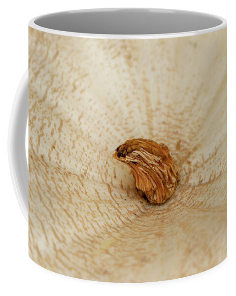 Pumpkin Coffee Mug featuring the photograph White Pumpkin Stem by Mary Anne Delgado