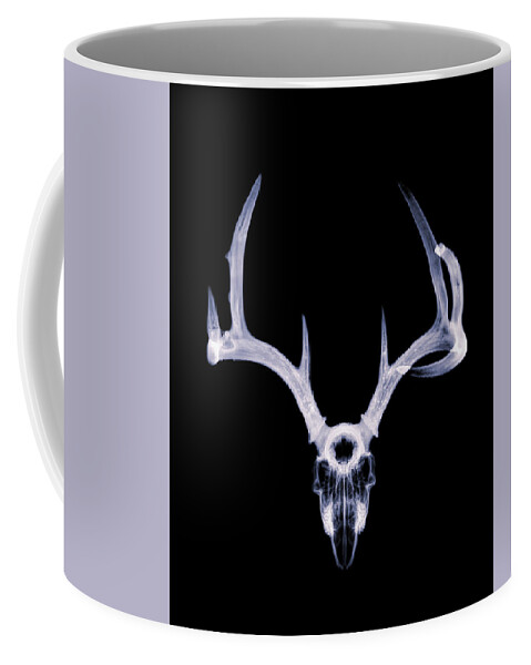 Kansas Coffee Mug featuring the photograph White-tailed Deer x-ray 003 by Rob Graham