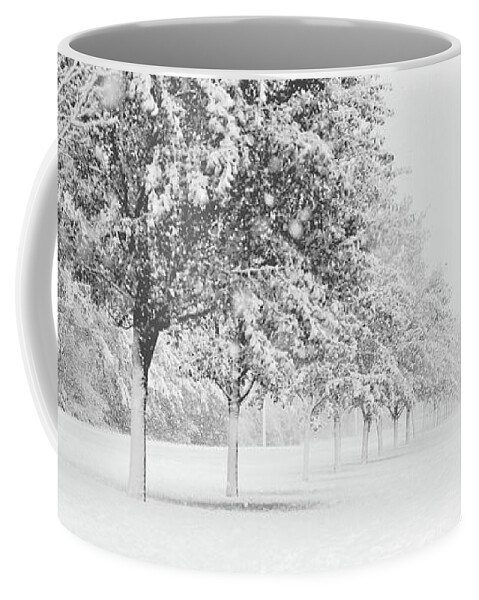 Winter Coffee Mug featuring the photograph White Winter by Stamp City