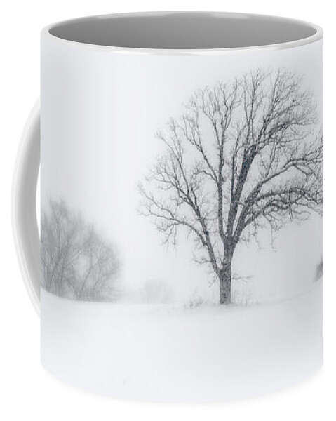Snow White Blizzard Blowing White Tree Lone Symmetry Panorama Balance B&w Black And White Grey Cold Winter Wi Wisconsin Stoughton Madison Coffee Mug featuring the photograph Whiteout - Tree in a prairie blizzard by Peter Herman