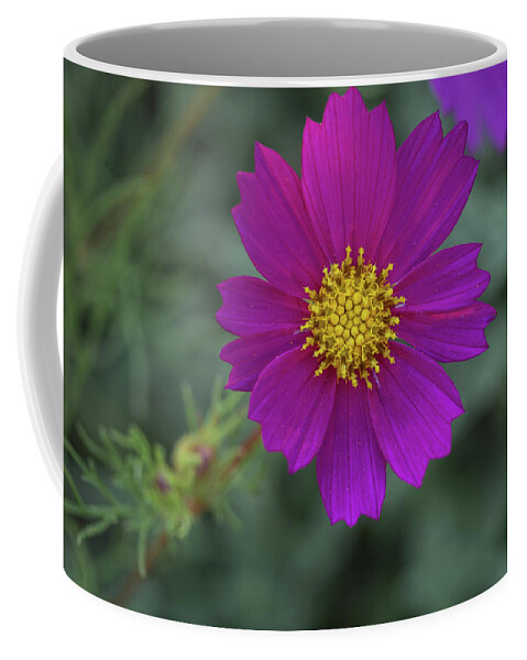 Flower Coffee Mug featuring the photograph Wide Open by Aaron Burrows