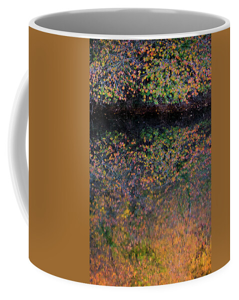 Wild Cherry Coffee Mug featuring the photograph Wild Cherry tree in the Fall, golden reflections on the river by Anita Nicholson