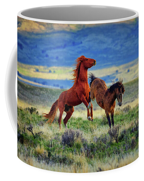 Wild Horses Coffee Mug featuring the photograph Wild Equine Play Time by Greg Norrell