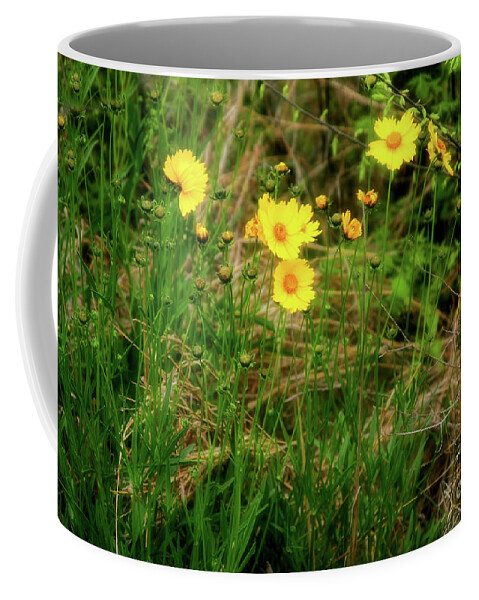 Wild Flowers Coffee Mug featuring the photograph Wild Flowers by Joan Bertucci