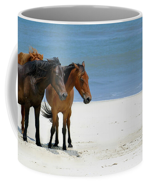 Outerbanks Coffee Mug featuring the photograph Wild Horses of Corolla by Arthur Oleary