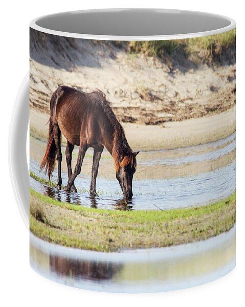 Wild Horse Coffee Mug featuring the photograph Wild Mustang on Shackleford Banks by Bob Decker