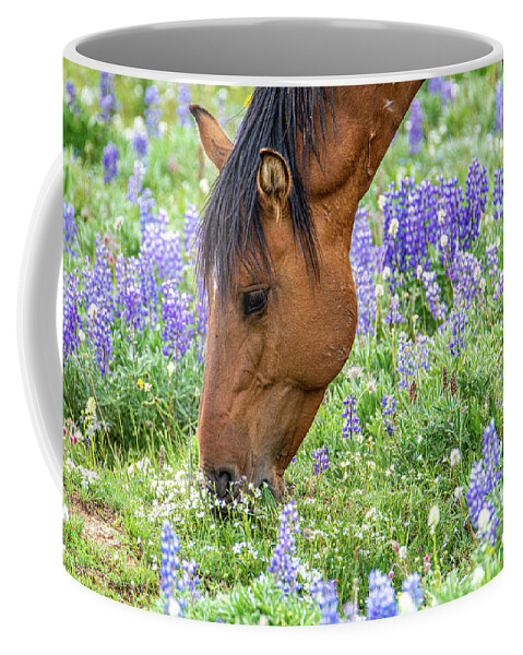 Pryor Mountain Coffee Mug featuring the photograph Wild Mustang Summer Pasture by Douglas Wielfaert