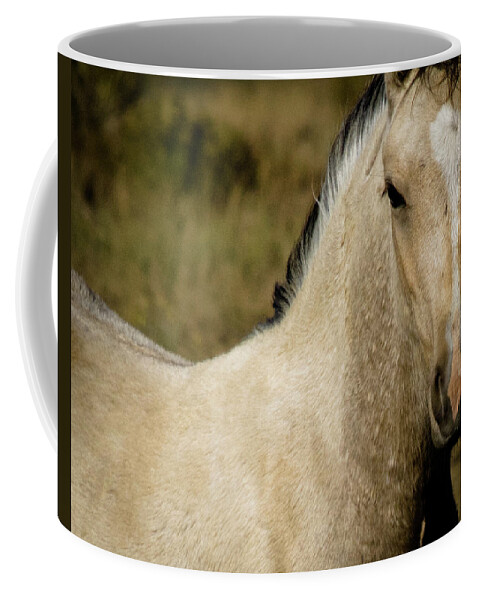 Andalusia Coffee Mug featuring the photograph Wild Mustangs of New Mexico 5 by Catherine Sobredo