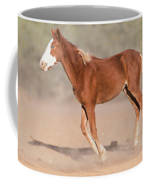 Blue Eye Coffee Mug featuring the photograph Wild One by Shannon Hastings