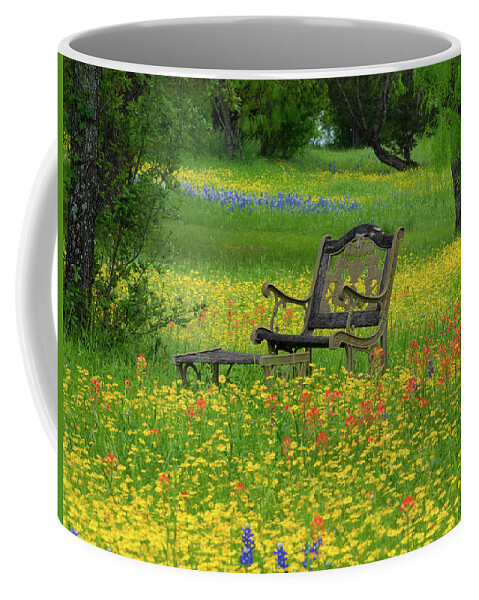 Texas Wildflowers Coffee Mug featuring the photograph Wildflower Retreat by Johnny Boyd